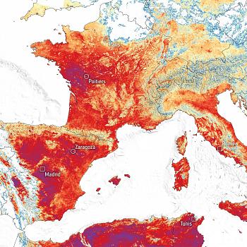 Carte des températures au sol le mercredi 23 juin, mesurées par satellite. L'Europe de l'ouest et en particulier la France sont colorées du orange foncé au pourpre, de même que le centre de l'Espagne et le nord du Maghreb.