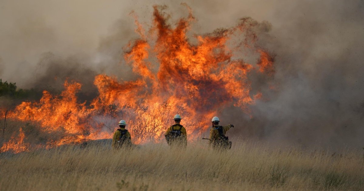 Feux et climatoscepticisme : alerte rouge partout dans le monde